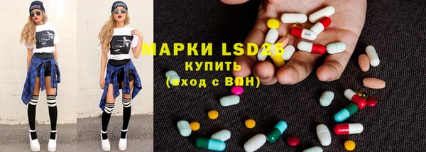 spice Белая Холуница