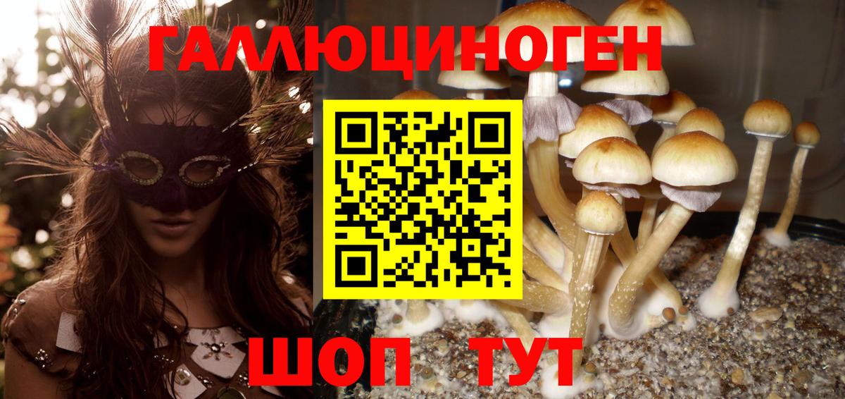 Балашиха  Псилоцибиновые грибы мухоморы  Вход с VPN  Галлюциногенные грибы Cubensis 